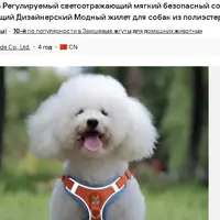 КОМПЛЕКТ ДЛЯ СОБАК ТА КОТИКІВ «ШЛЕЙКА ЖИЛЕТ+ ПОВІДЕЦЬ СВІТЛОВІДБИВАЮЧА»  - фото 1