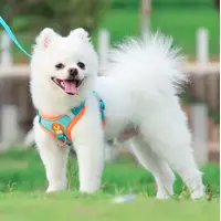 КОМПЛЕКТ ДЛЯ СОБАК ТА КОТИКІВ «ШЛЕЙКА ЖИЛЕТ+ ПОВІДЕЦЬ СВІТЛОВІДБИВАЮЧА»  - фото 2