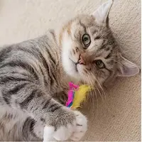 ІГРАШКА ДЛЯ КОТИКІВ «МИШКА КОЛЬОРОВА З ПІР'ЯМ»  - фото 3